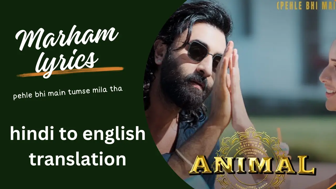 Marham Lyrics English Translation 2024 Vishal Mishra | Animal